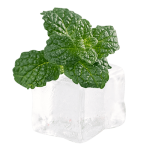 薄荷